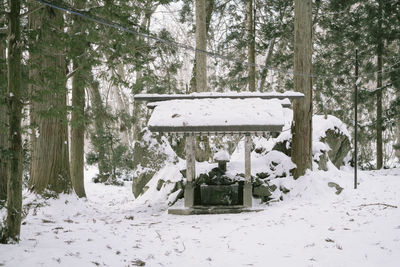 Snow covered field by trees in forest