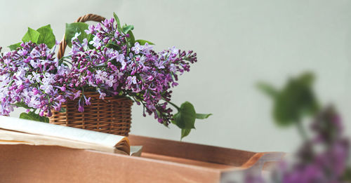 Close-up of purple flowering plant in basket