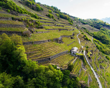 High angle view of agricultural field against sky