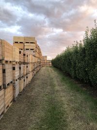 Footpath amidst crates against sky