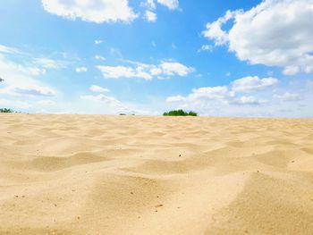 Scenic view of sand dune on beach against sky