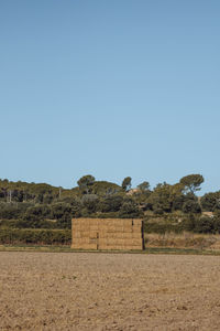 Scenic view of field against clear sky