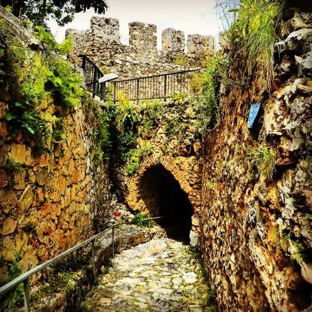 architecture, built structure, the way forward, building exterior, stone wall, tree, arch, wall - building feature, narrow, steps, tunnel, diminishing perspective, bridge - man made structure, walkway, rock - object, railing, day, plant, footpath