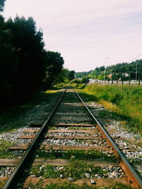 Surface level of railway tracks along trees