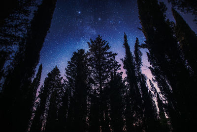Low angle view of silhouette trees against sky at night