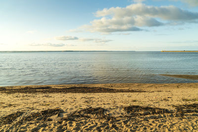 The coast of baltic sea at kasmu fishing village with the huge rocks on the beach