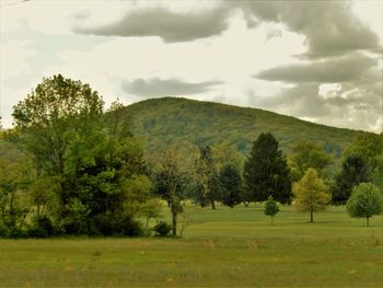 Scenic view of field against cloudy sky