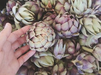 Close-up of hand holding vegetables for sale in market