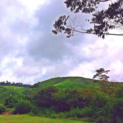 Scenic view of landscape against cloudy sky