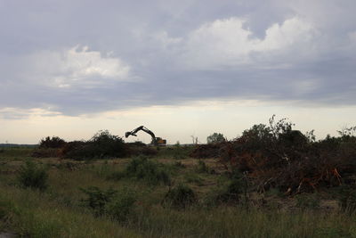 Just a little excavator, moving trees