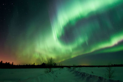 Scenic view of aurora borealis over snowy field at night