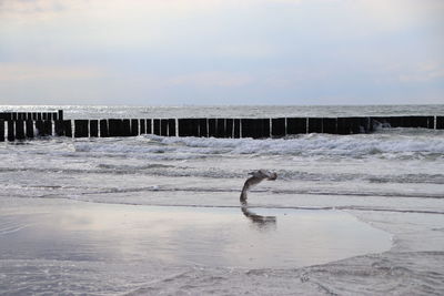 View of wooden post on beach against sky