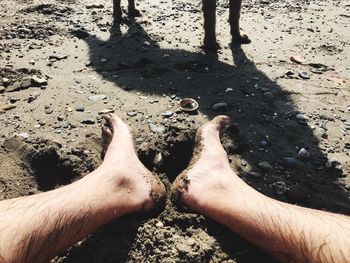 Low section of man on beach