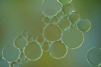 Close-up of bubbles in water