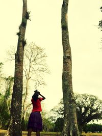 Low angle view of bare tree