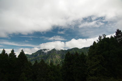 Scenic view of trees and mountains against sky