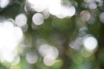 Defocused image of lights