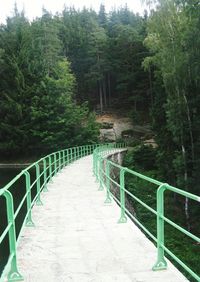 Walkway amidst trees in forest against sky