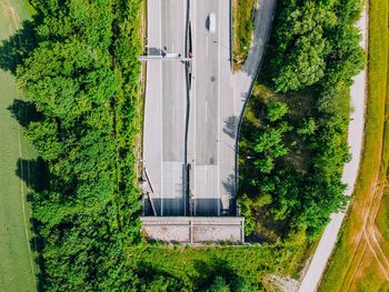 High angle view of trees in park