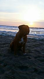 Scenic view of sea at sunset