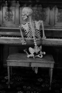 Close-up of tree stump