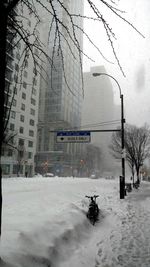 Bare trees in front of building