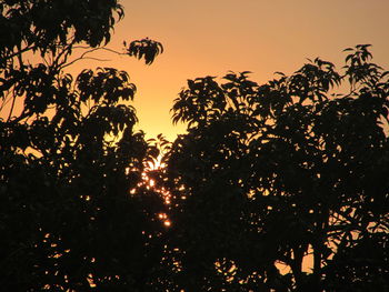 Low angle view of silhouette trees against sky during sunset