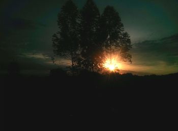 Silhouette trees against sky during sunset