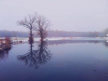 Reflection of trees in lake