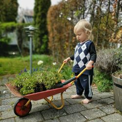 A cute boy with a wheelbarrow in a garden