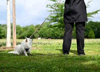 Low section of man with dog on field