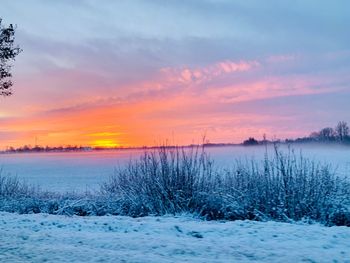 Scenic view of snow covered plants against sky during sunset