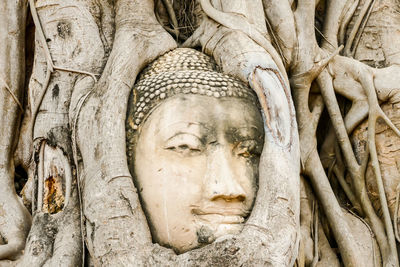 Close-up of buddha statue