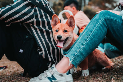 Low section of people with dog outdoors