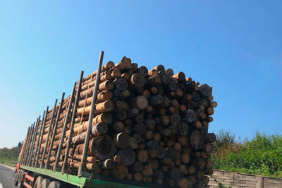 Low angle view of stack of logs in forest against clear sky