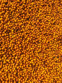 Full frame shot of oranges at market