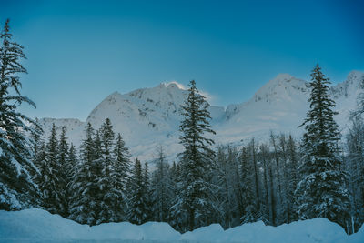 Panoramic view of snow covered mountain against sky