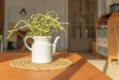 Close-up of potted plant on table at home