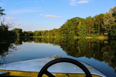Reflection of trees in water