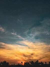Low angle view of silhouette trees against sky during sunset