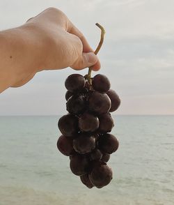 Cropped image of person holding apple against sea against sky