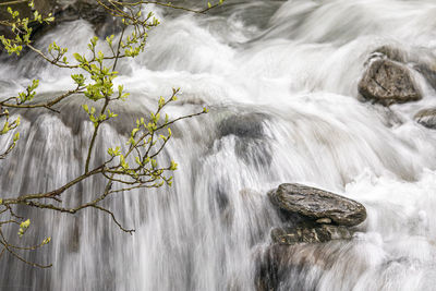 Long exposure of waterfall in forest