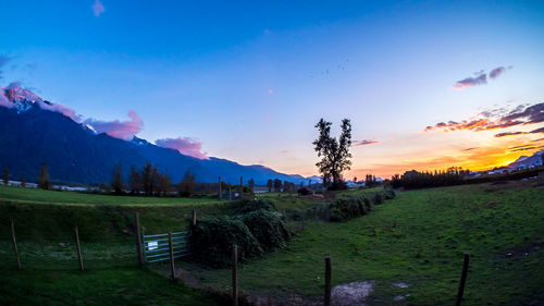 Scenic view of landscape against sky during sunset