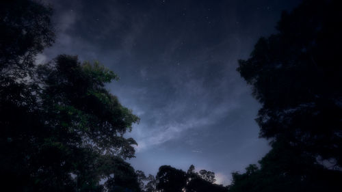 Low angle view of silhouette trees against sky at night