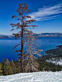 Scenic view of calm sea against sky