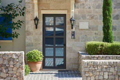 Potted plants on wall of building