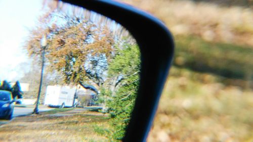 Close-up of tree against sky
