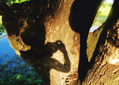 Shadow of sunlight on ground