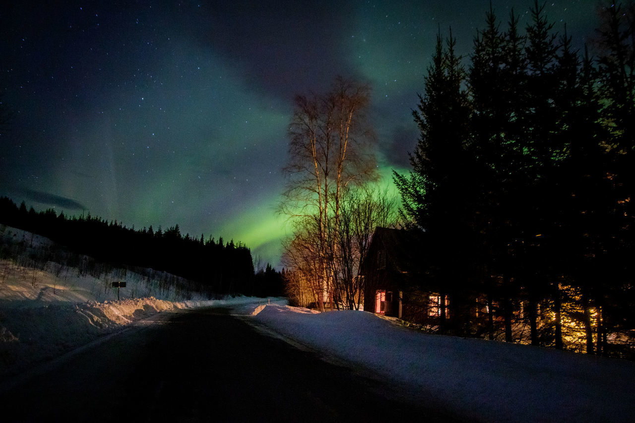 ROAD AMIDST TREES AGAINST SKY DURING WINTER