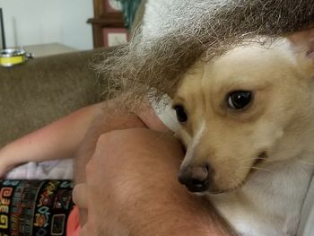 Midsection of man with dog